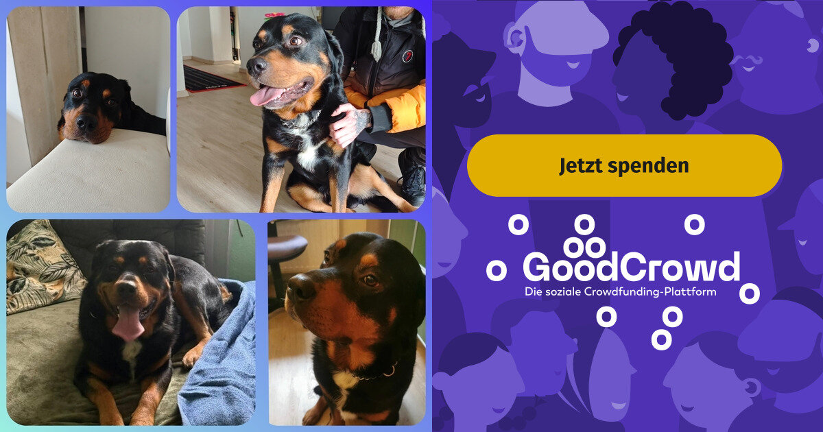 Gemeinsam für Rottweiler-Mischling Fred! | GoodCrowd.org