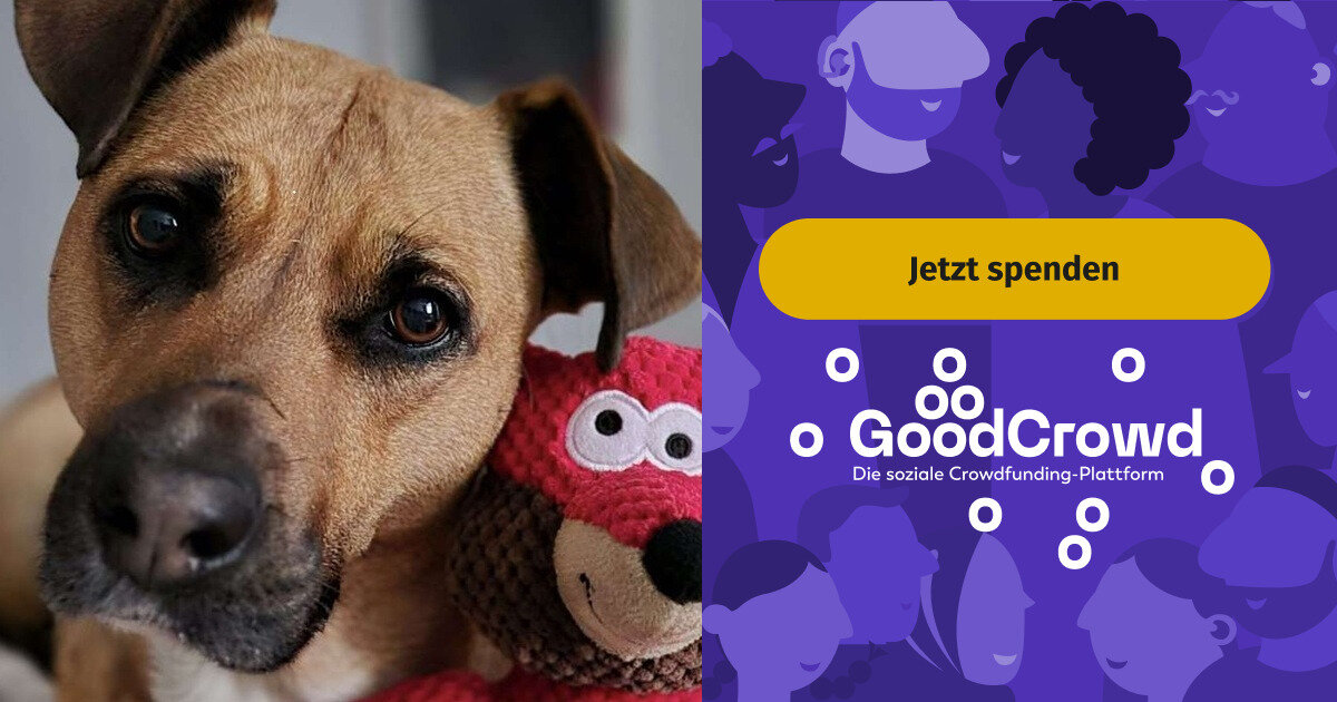 Hilfe für meinen Engel | GoodCrowd.org