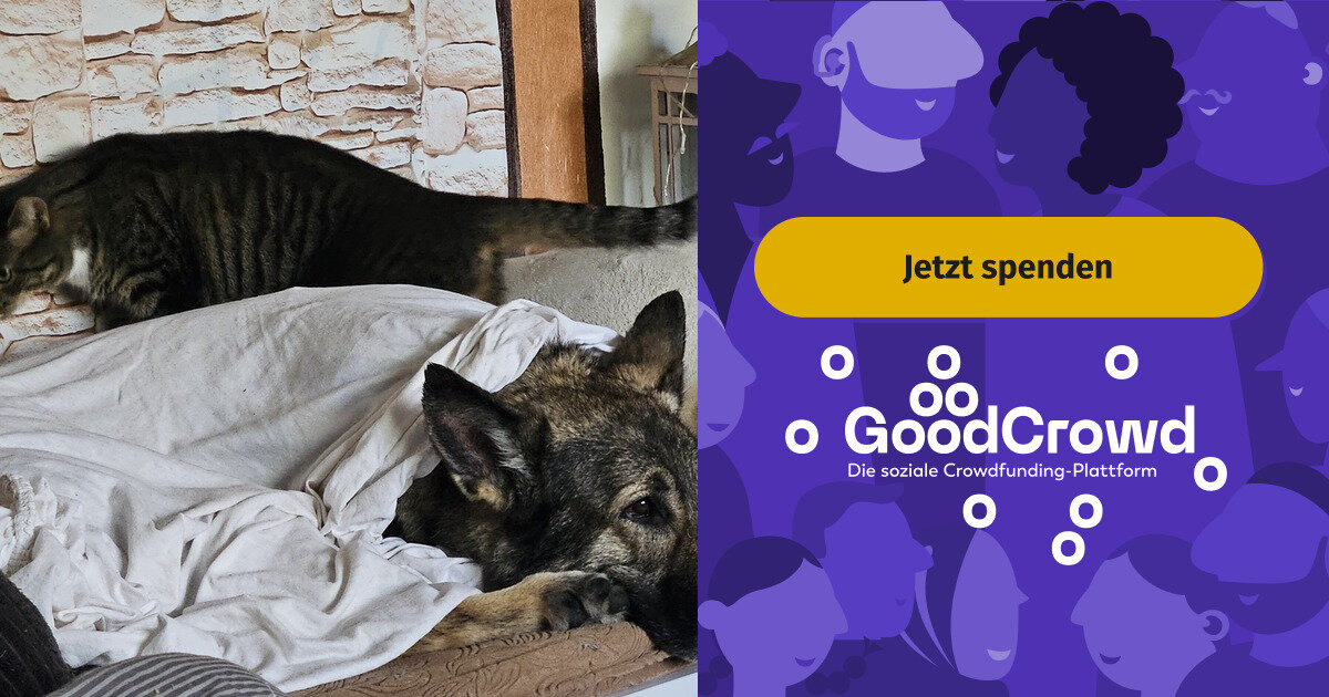 Kiano braucht dringend eure Hilfe | GoodCrowd.org